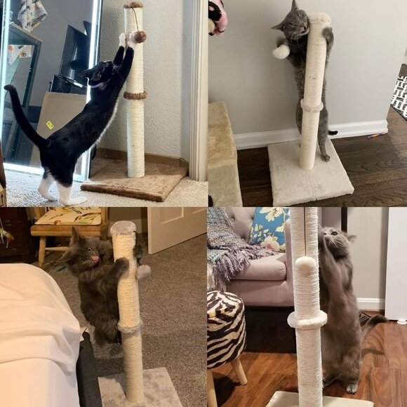29" Height Tall Cat Scratching Post, Claw Scratcher with Sisal Rope and Covered - Picture 7 of 9